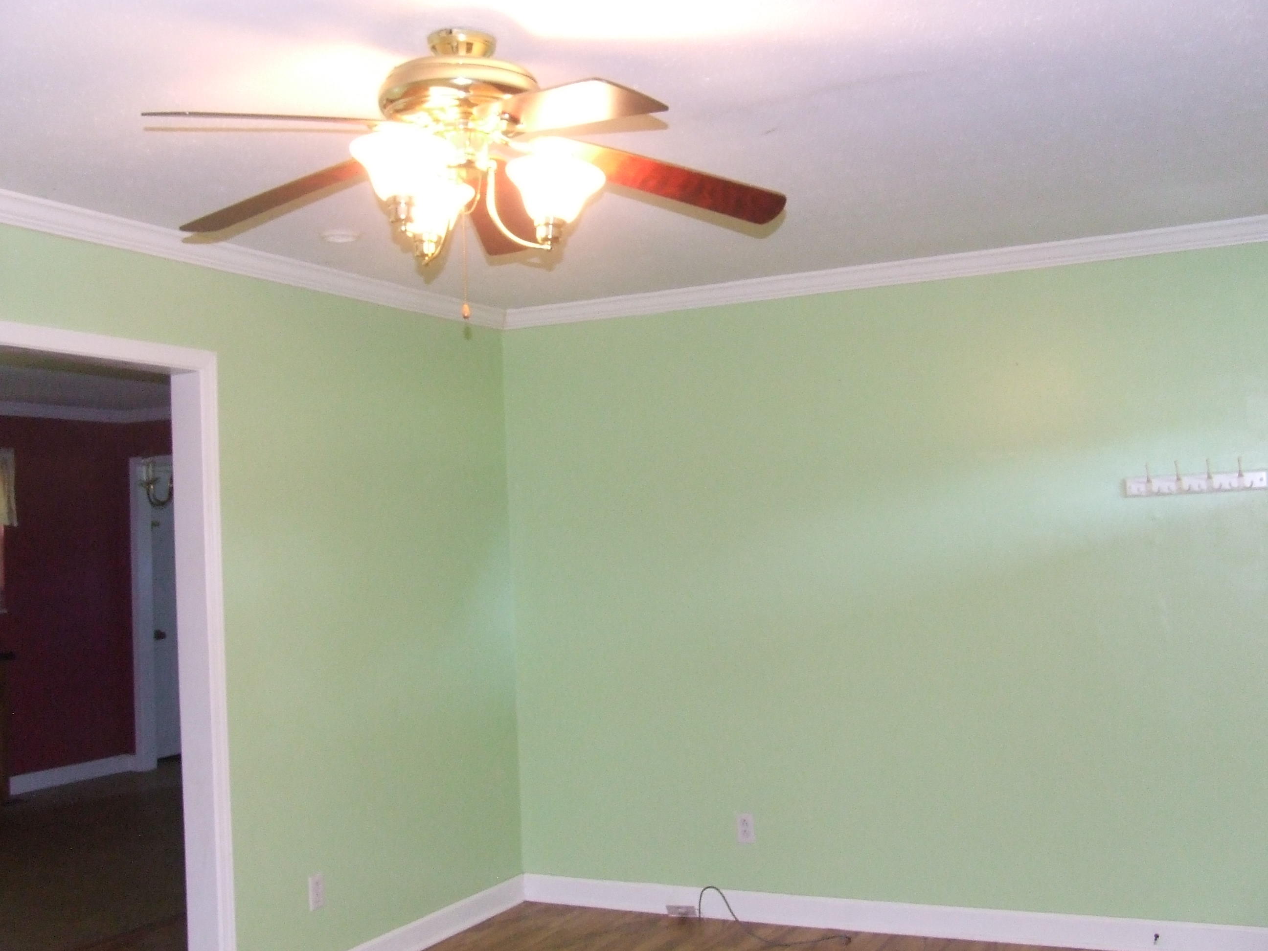 4153 Wolf Creek Road Spring City, TN 37381 - Photo 7 of 25 DSCF7150