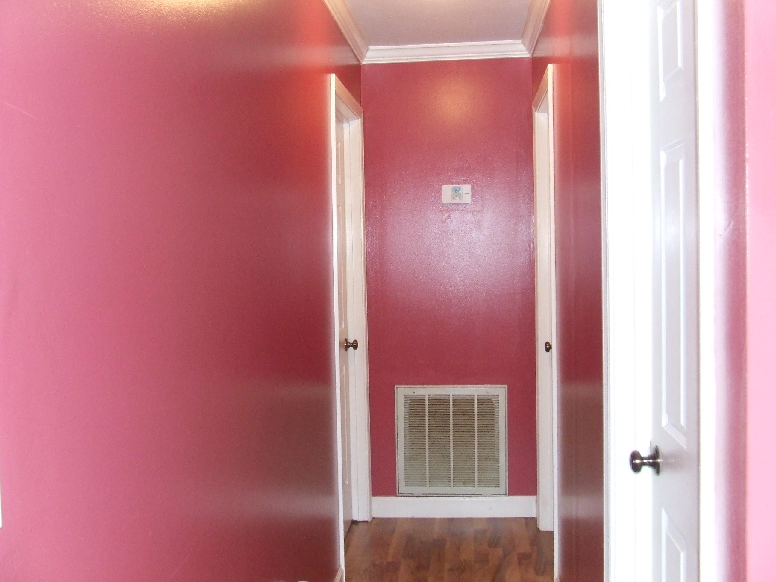 4153 Wolf Creek Road Spring City, TN 37381 - Photo 9 of 25 DSCF7121