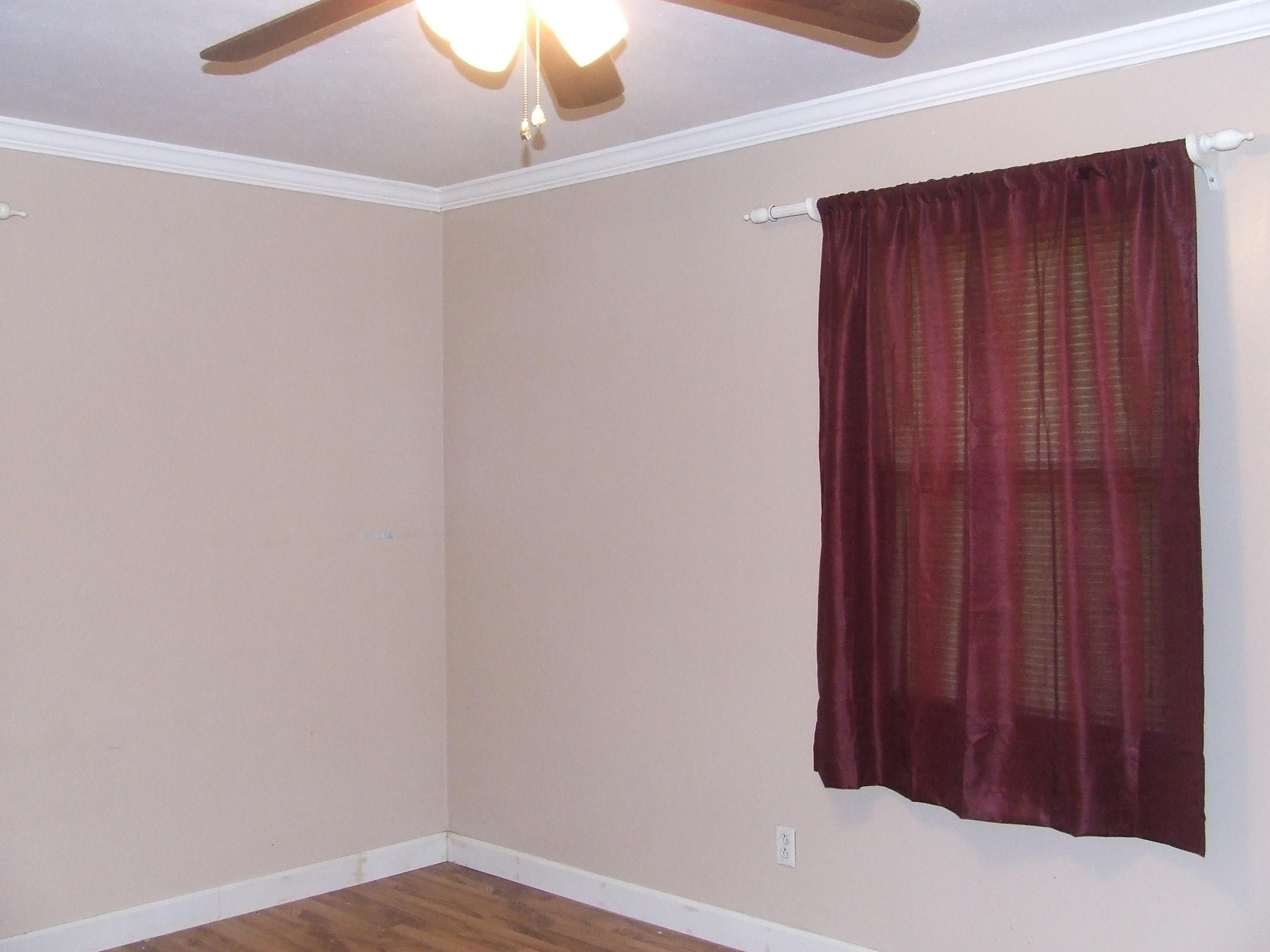 4153 Wolf Creek Road Spring City, TN 37381 - Photo 10 of 25 DSCF7119