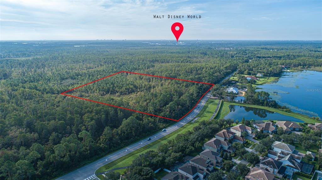 7545 Ficquette Road Windermere, FL 34786 - Photo 3 of 23 a view of a flower in a yard