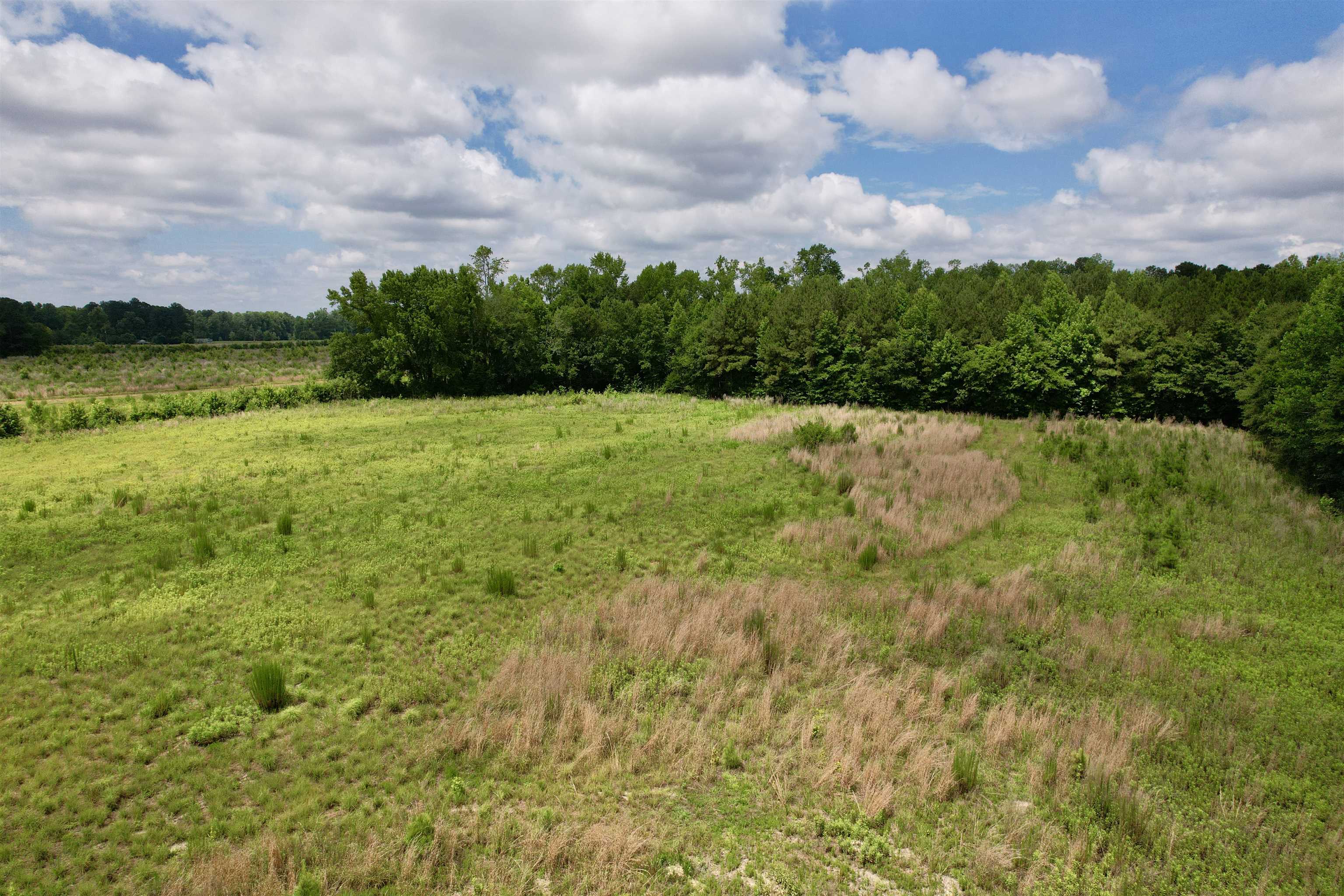 0 Powell Rd Green Green Sea, SC 29545 - Photo 29 of 72