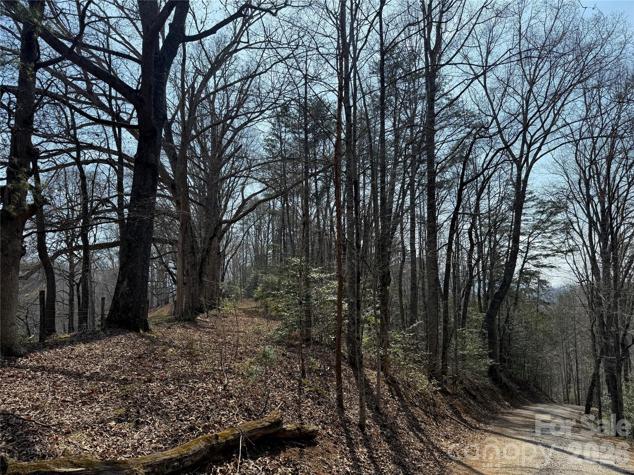 Lot 1-2 Boot Hill Road Whittier, NC 28789 - Photo 1 of 5