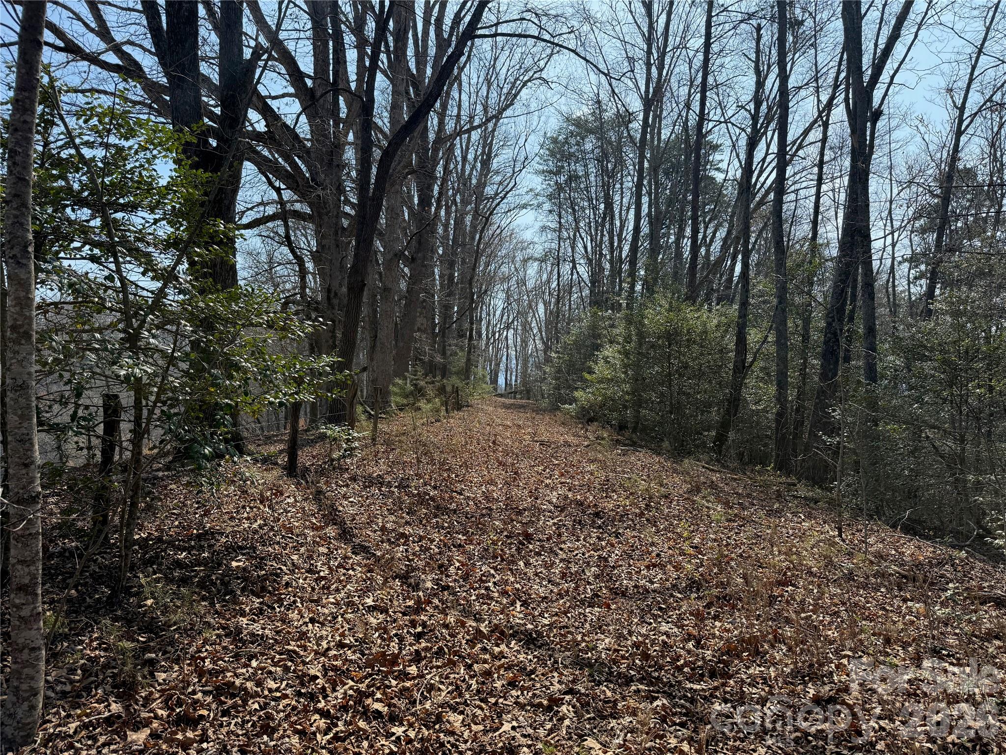 Lot 1-2 Boot Hill Road Whittier, NC 28789 - Photo 2 of 5