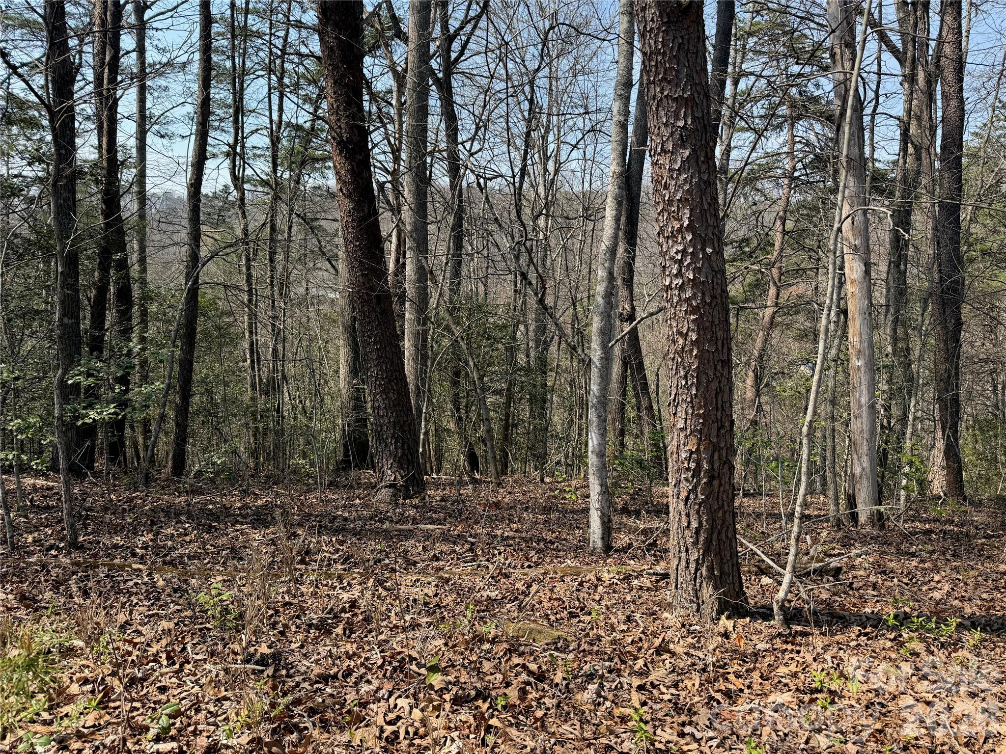 Lot 1-2 Boot Hill Road Whittier, NC 28789 - Photo 4 of 5