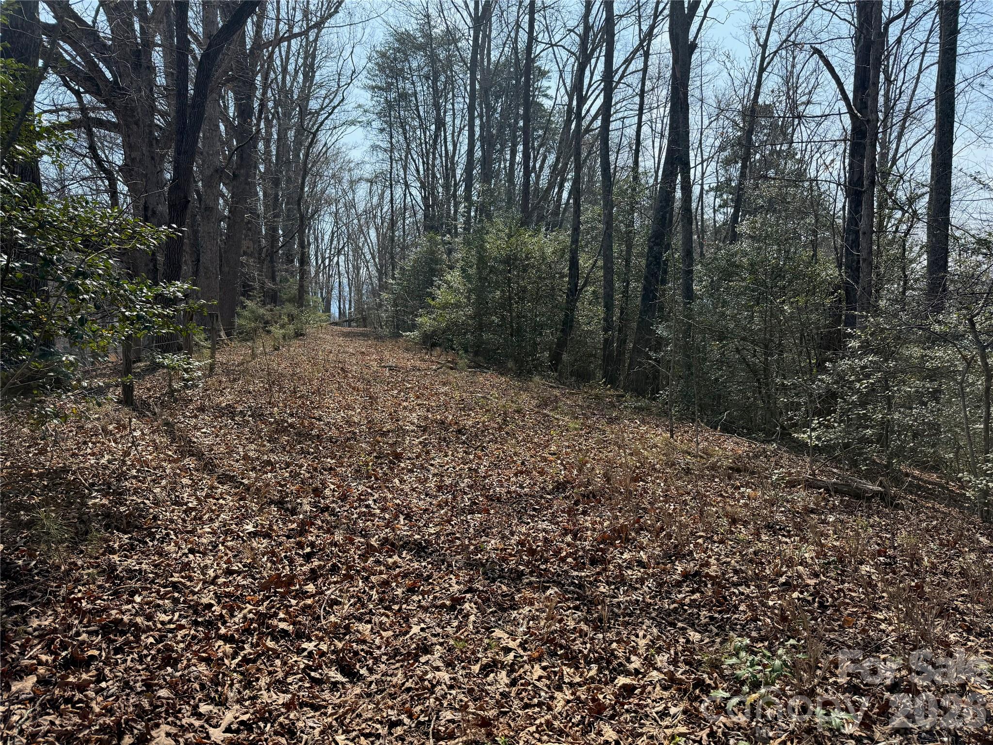 Lot 1-2 Boot Hill Road Whittier, NC 28789 - Photo 5 of 5