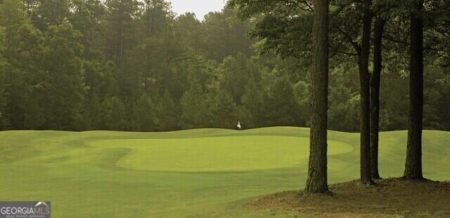 18 Hogan Lane Northwest Rome, GA 30165 - Photo 52 of 52 SBridge 52