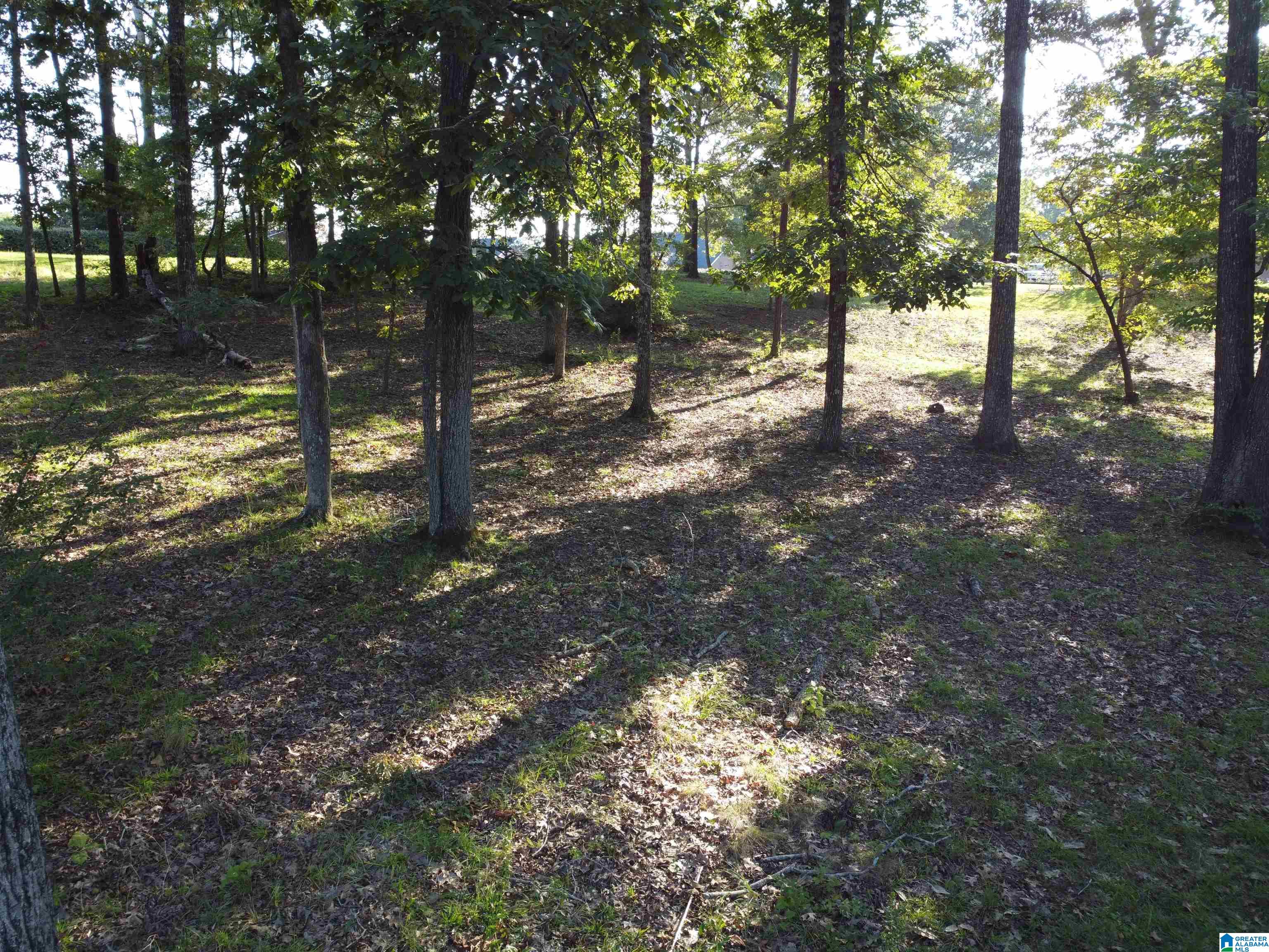 Lot 16 Riley Circle, Unit 16 Thorsby, AL 35171 - Photo 14 of 19