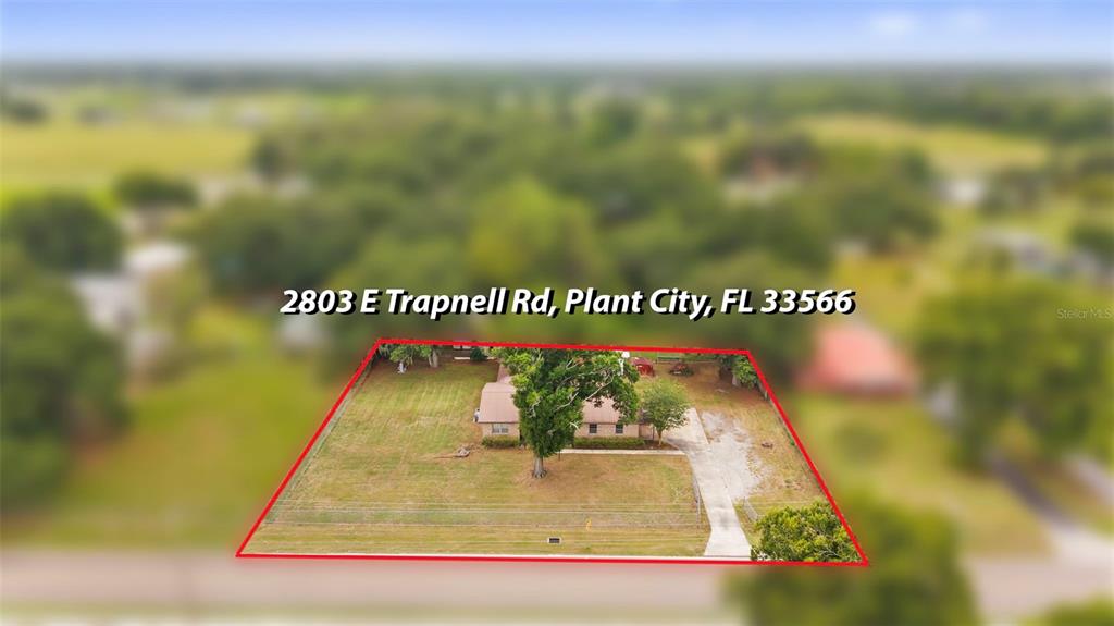 2803 East Trapnell Road Plant City, FL 33566 - Photo 47 of 58