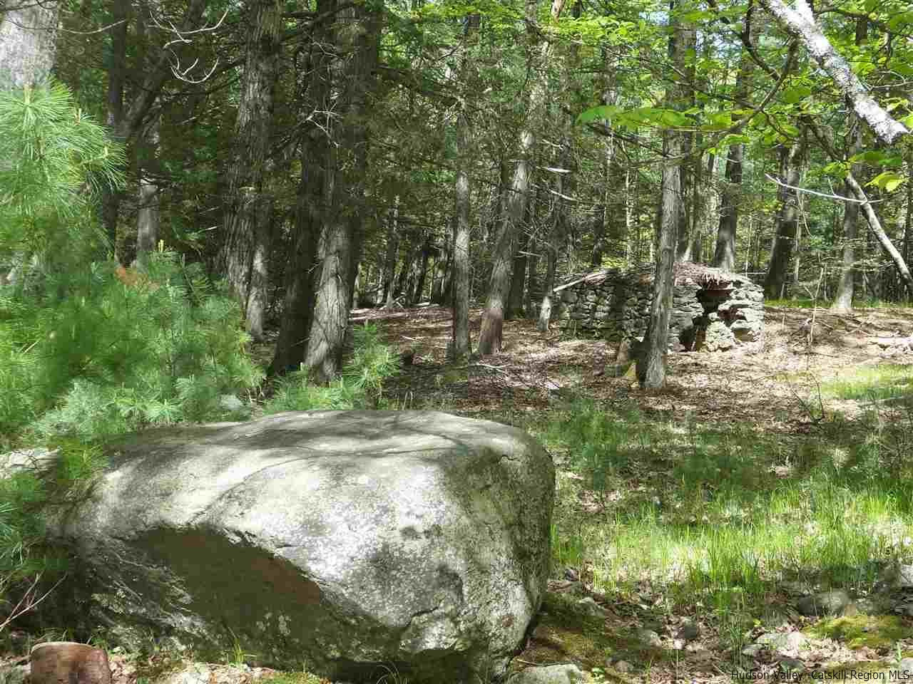 4600 Atwood Road Stone Ridge, NY 12484 - Photo 8 of 35 a view of outdoor space and yard
