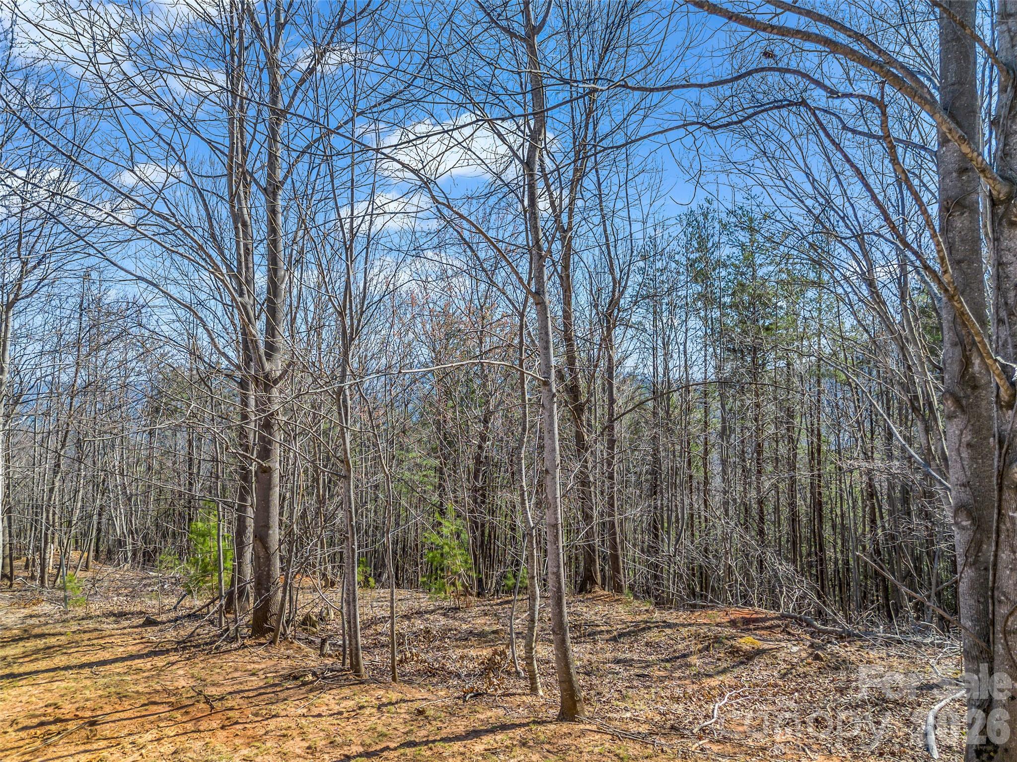 190 Cherry Hill, Unit NONE Mill Spring, NC 28756 - Photo 8 of 39 a backyard of a house with lots of green space