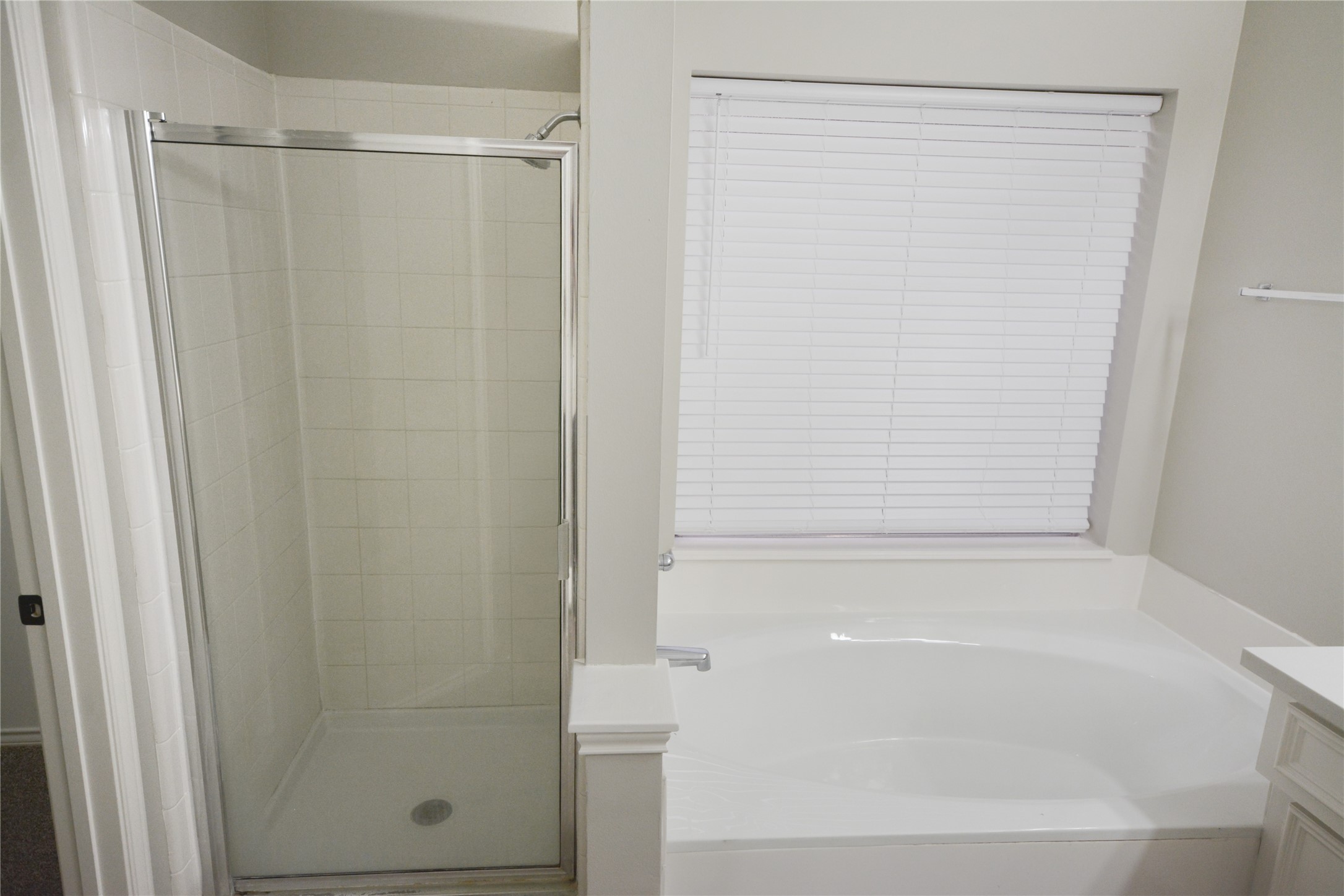 21614 Brookchase Loop Cypress, TX 77433 - Photo 19 of 34