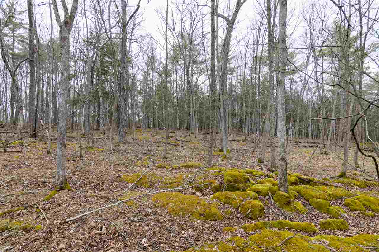 512 Red Rock Road, Unit 1 Colchester, VT 05446 - Photo 14 of 32