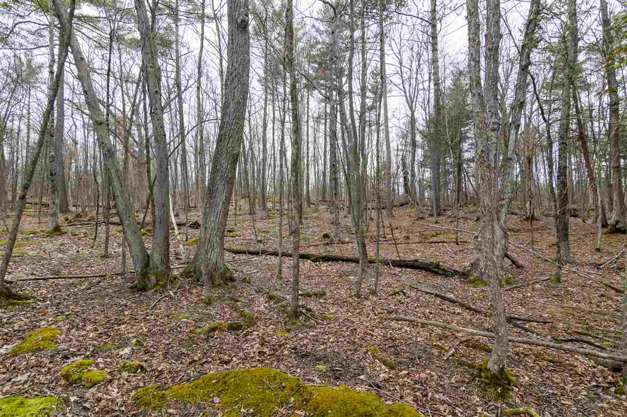 512 Red Rock Road, Unit 1 Colchester, VT 05446 - Photo 17 of 32