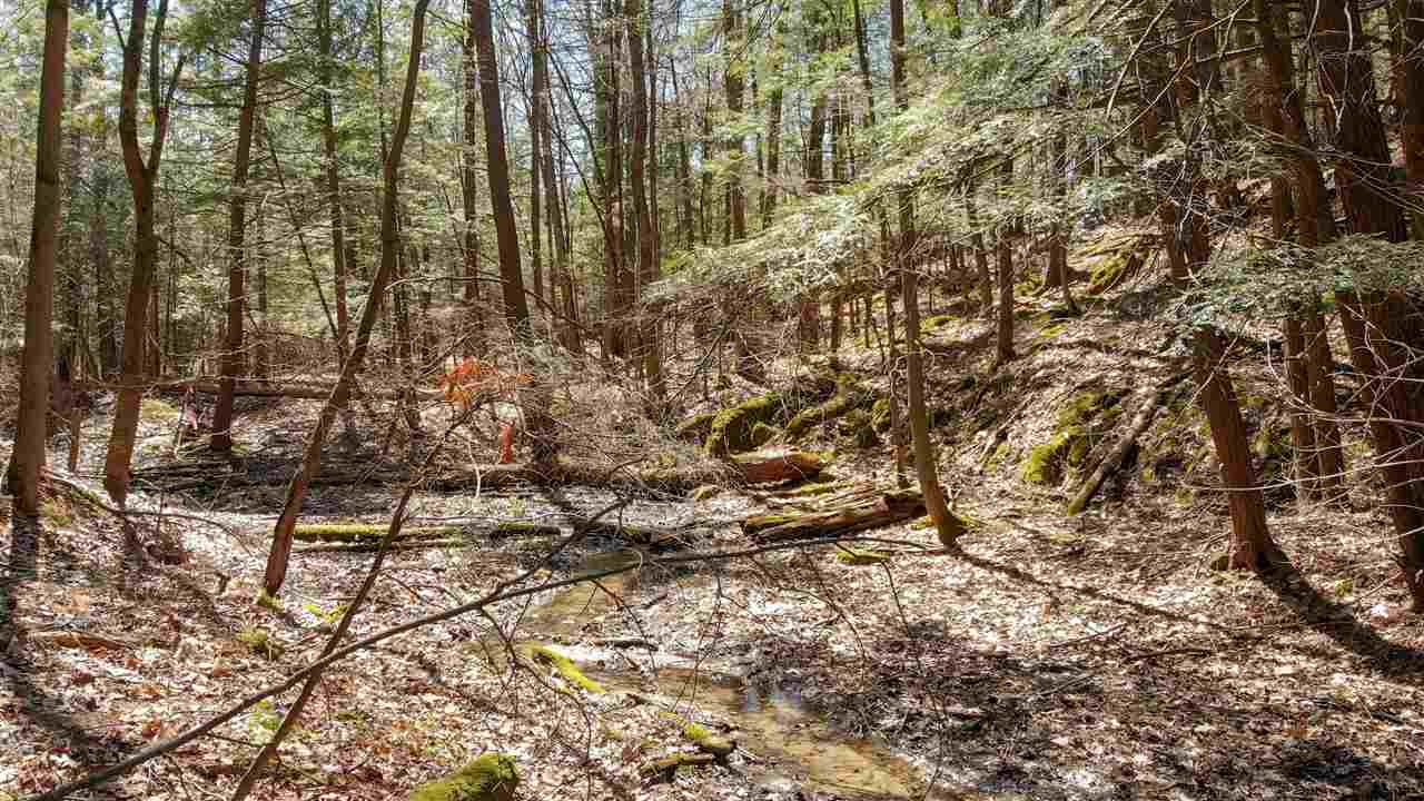 512 Red Rock Road, Unit 1 Colchester, VT 05446 - Photo 22 of 32