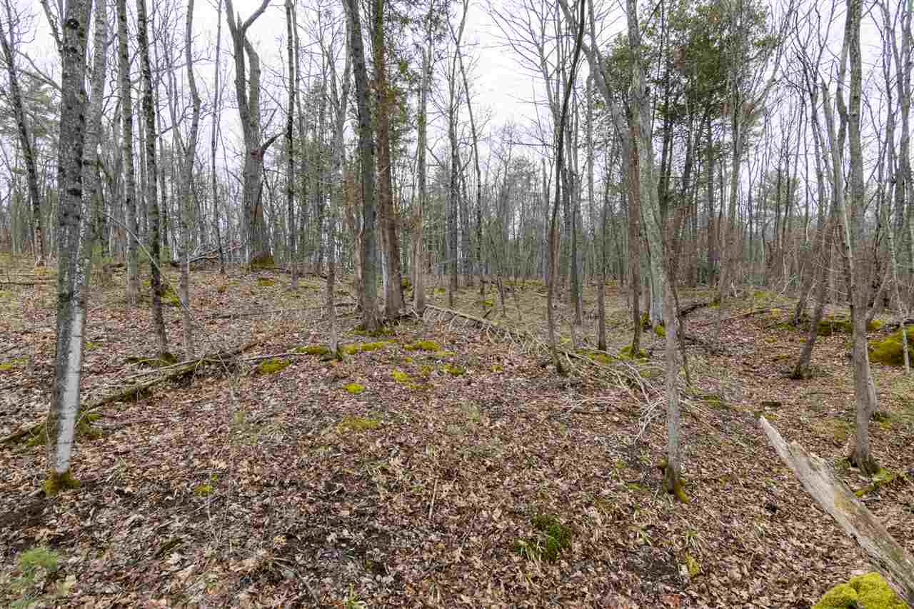512 Red Rock Road, Unit 1 Colchester, VT 05446 - Photo 10 of 32
