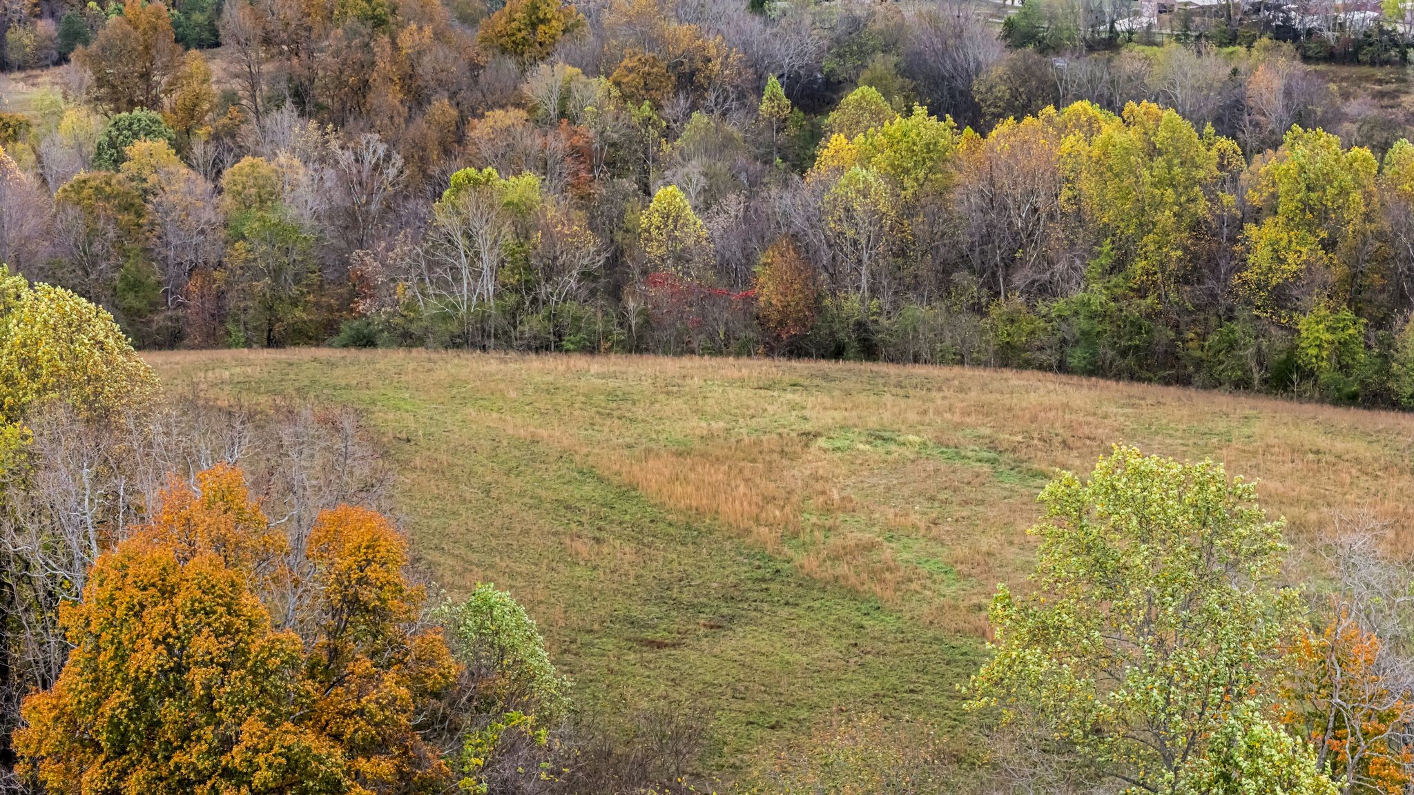 0 Ben Albert Road Cottontown, TN 37048 - Photo 16 of 34
