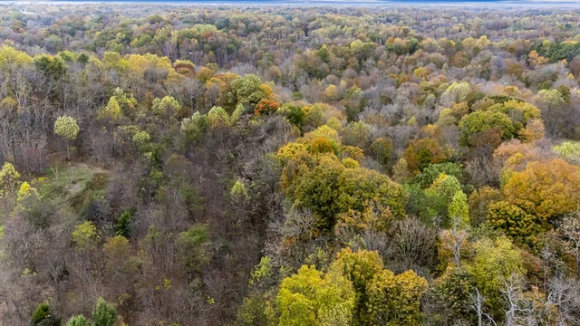 $2,500,000 | 0 Ben Albert Road, Cottontown, TN 37048