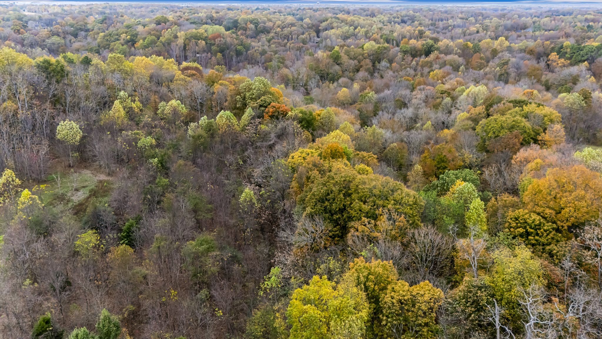 0 Ben Albert Road Cottontown, TN 37048 - Photo 17 of 34