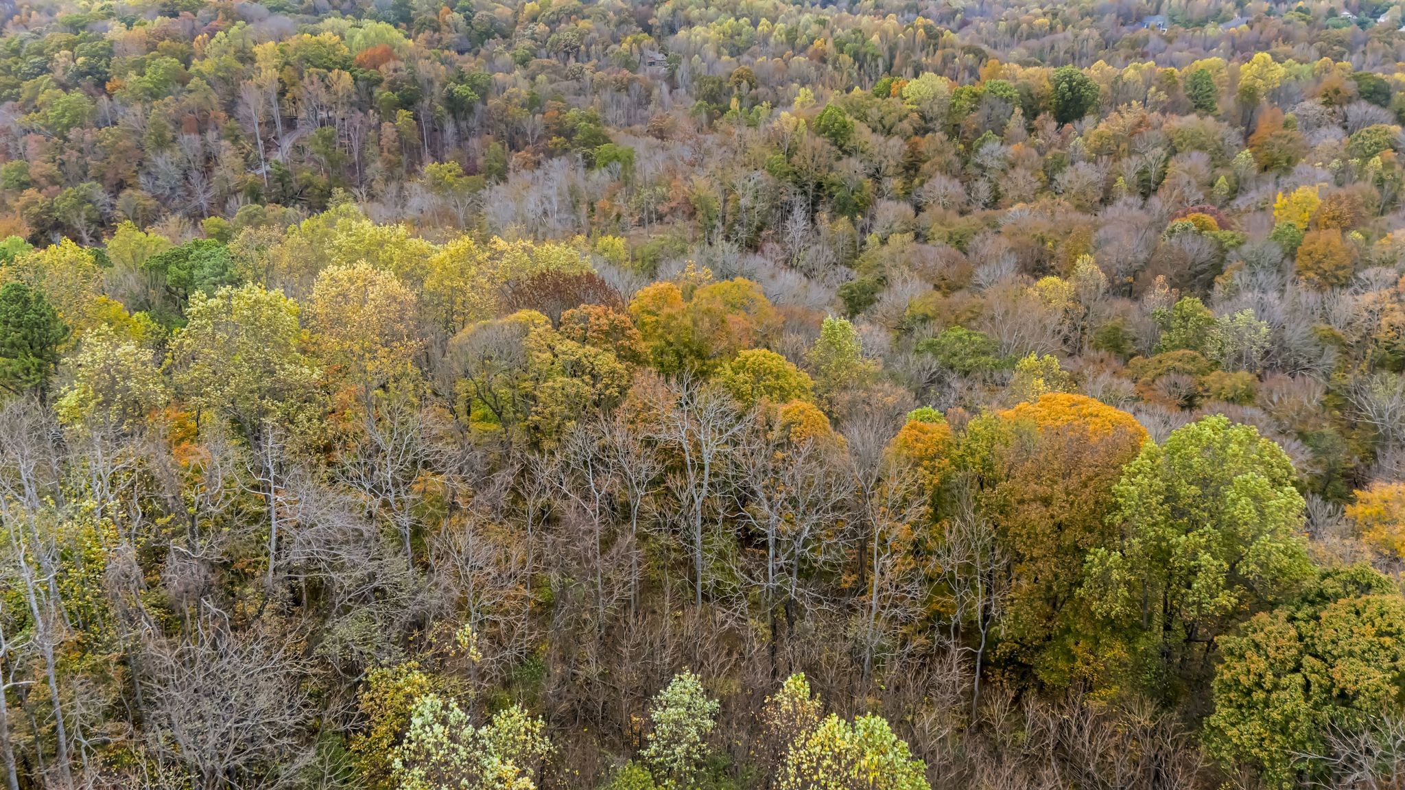 0 Ben Albert Road Cottontown, TN 37048 - Photo 19 of 34