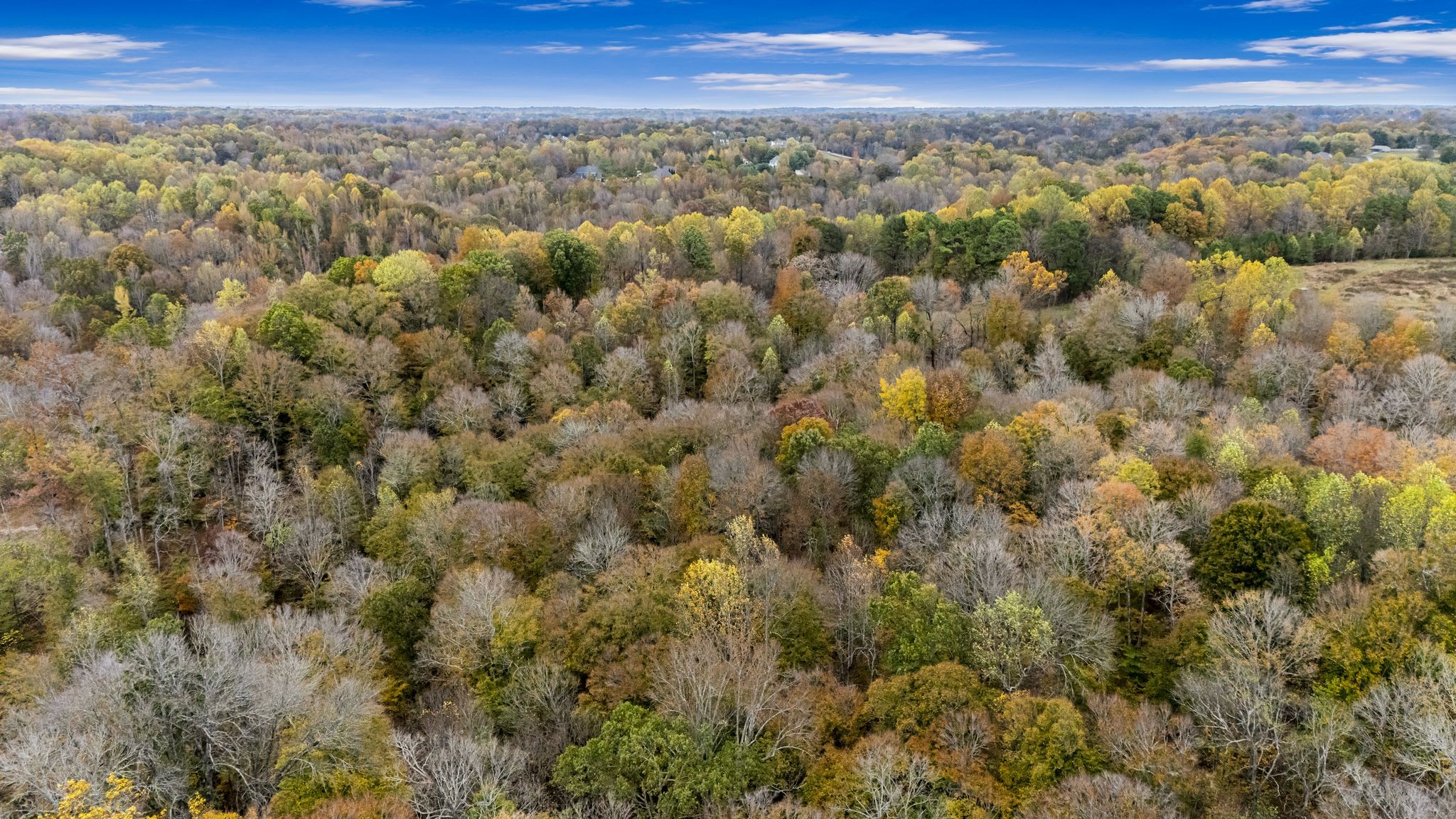 0 Ben Albert Road Cottontown, TN 37048 - Photo 20 of 34