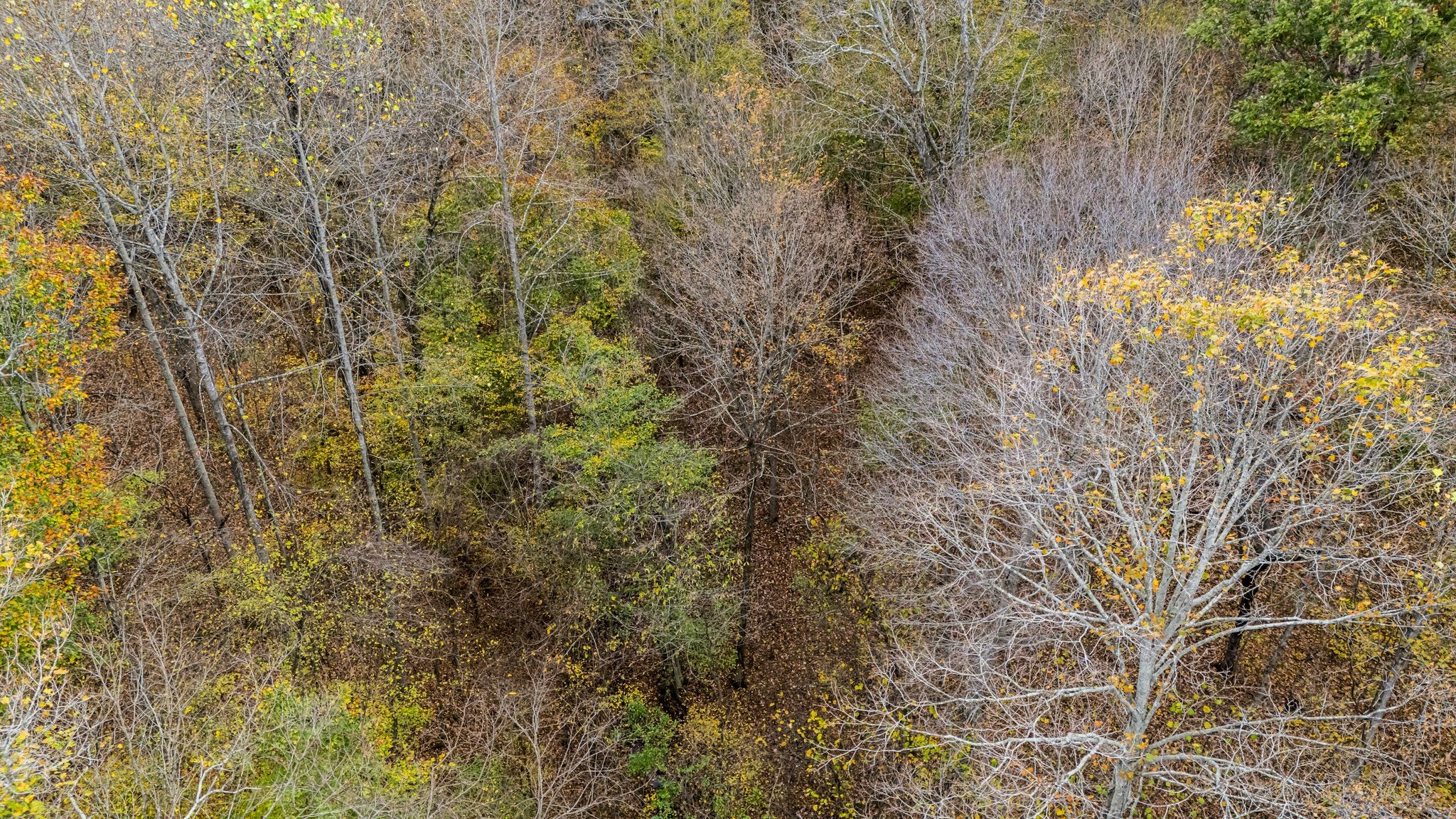 0 Ben Albert Road Cottontown, TN 37048 - Photo 22 of 34