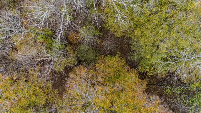 $2,500,000 | 0 Ben Albert Road, Cottontown, TN 37048