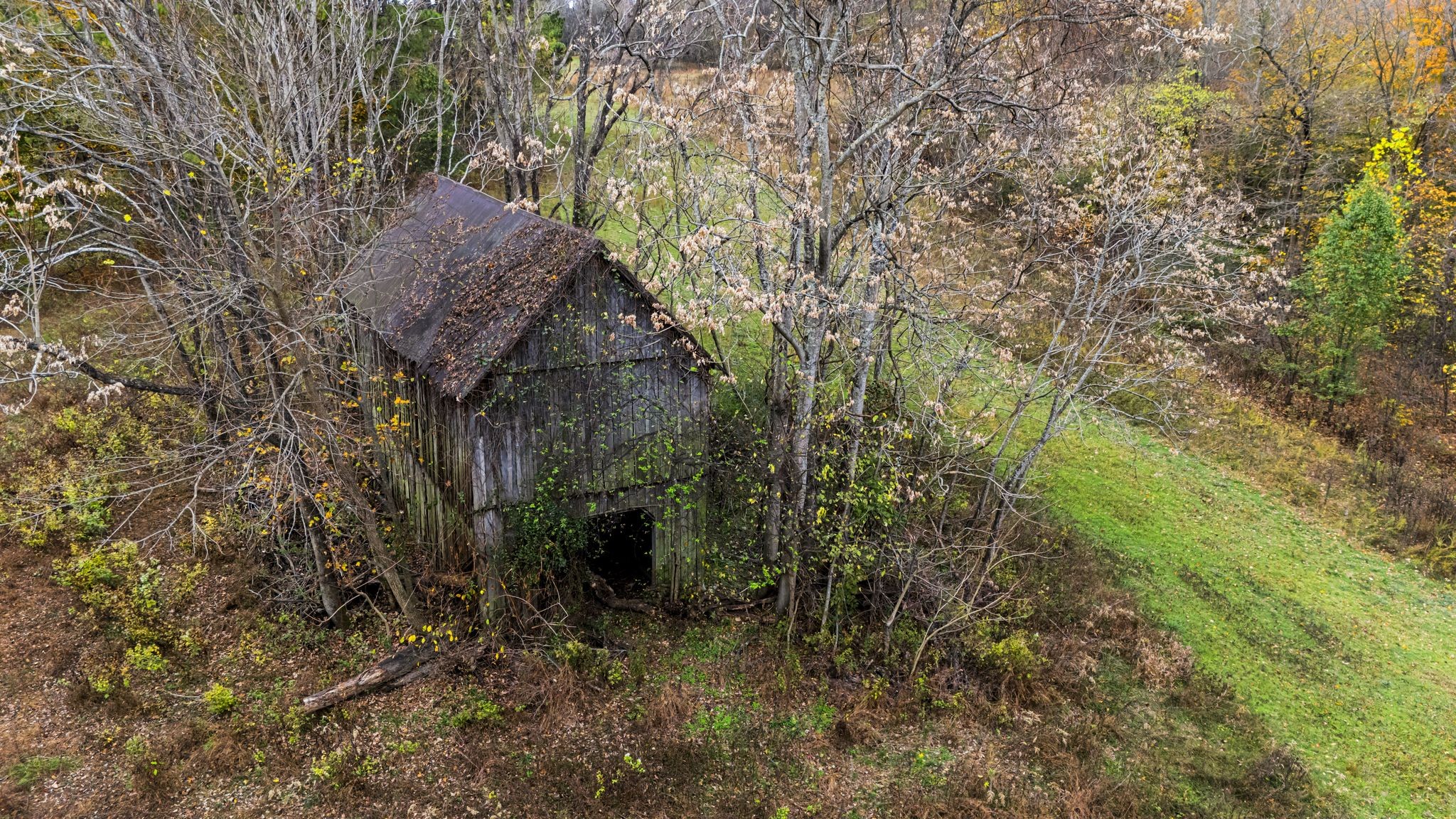 0 Ben Albert Road Cottontown, TN 37048 - Photo 25 of 34