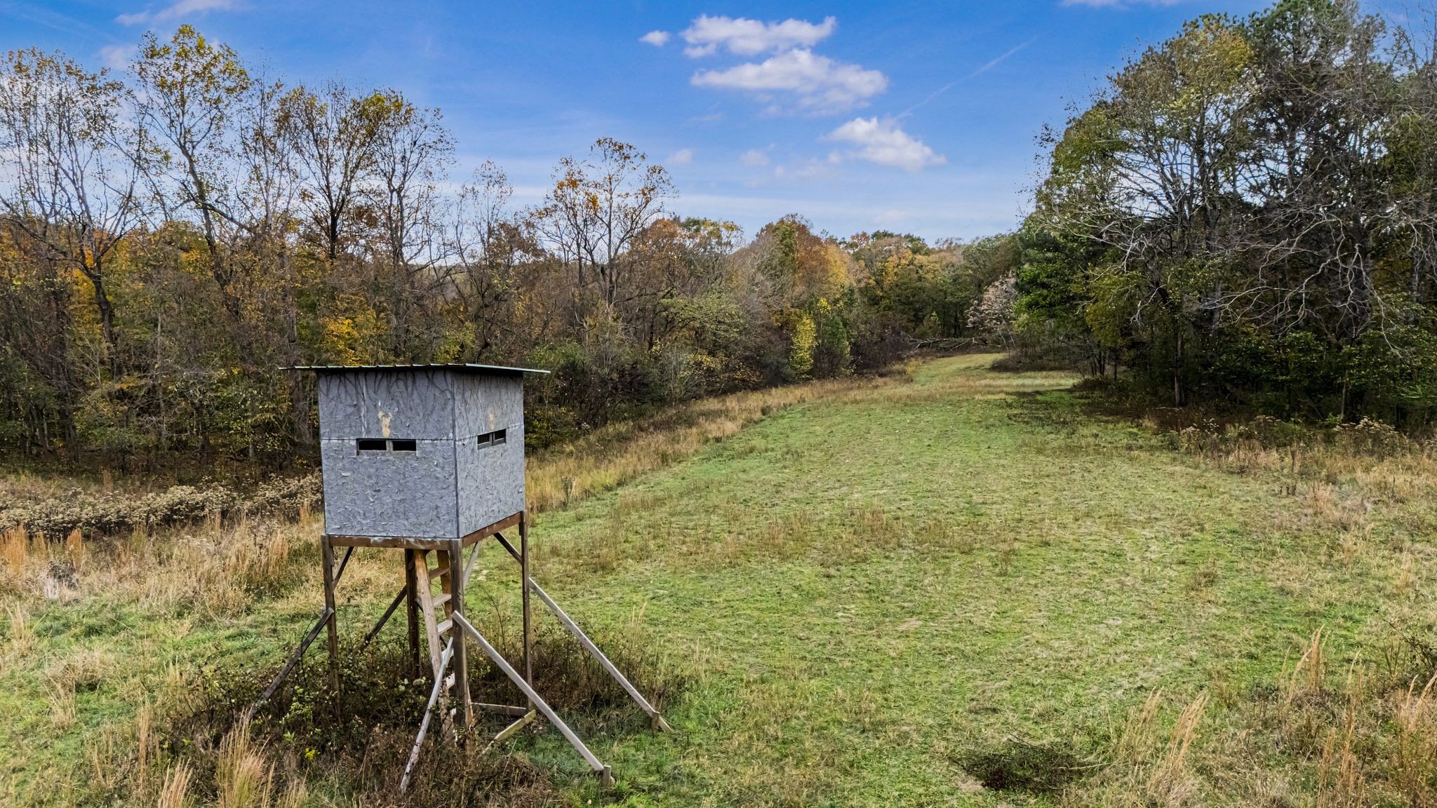 0 Ben Albert Road Cottontown, TN 37048 - Photo 28 of 34