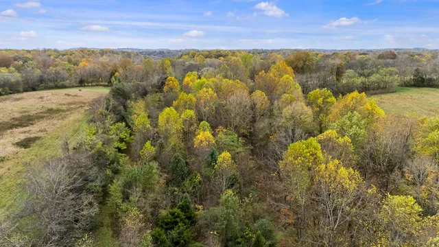 $2,500,000 | 0 Ben Albert Road, Cottontown, TN 37048