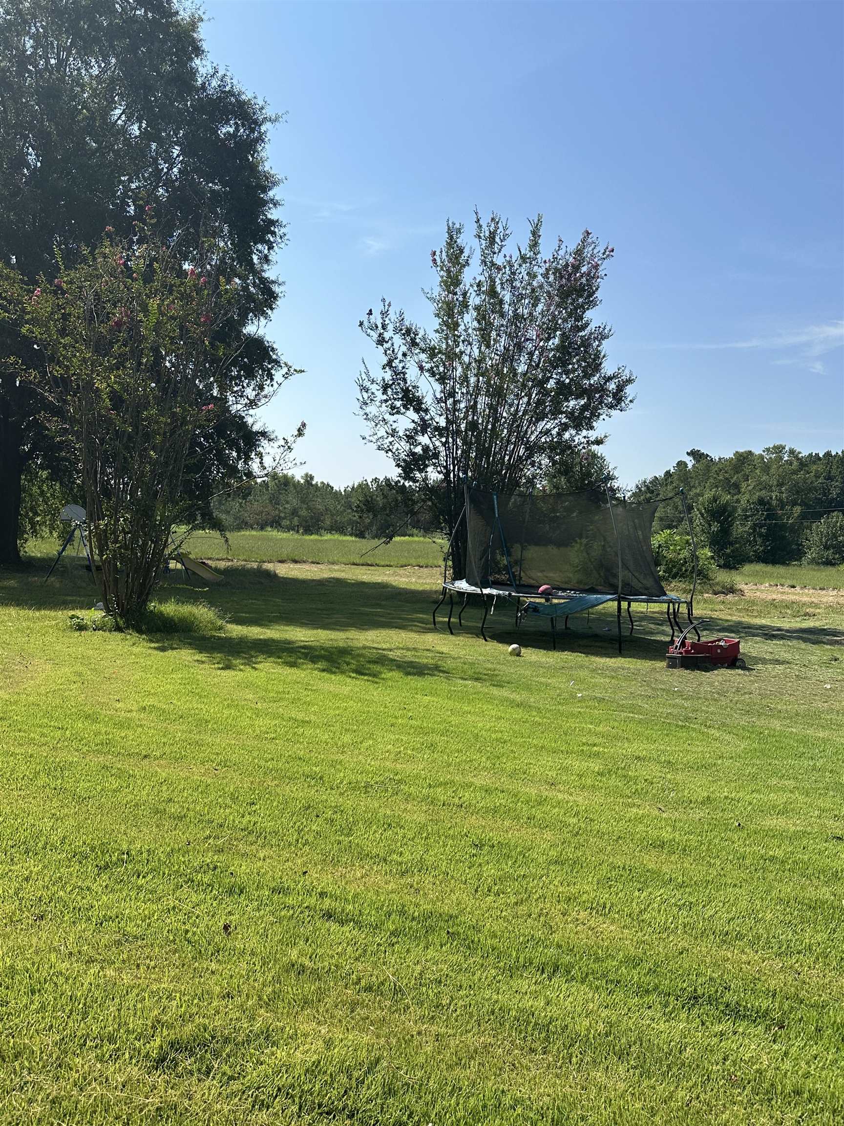 426 Gordon Road Ashland, MS 38603 - Photo 4 of 11 Expansive green lawn with mature trees and open landscaping