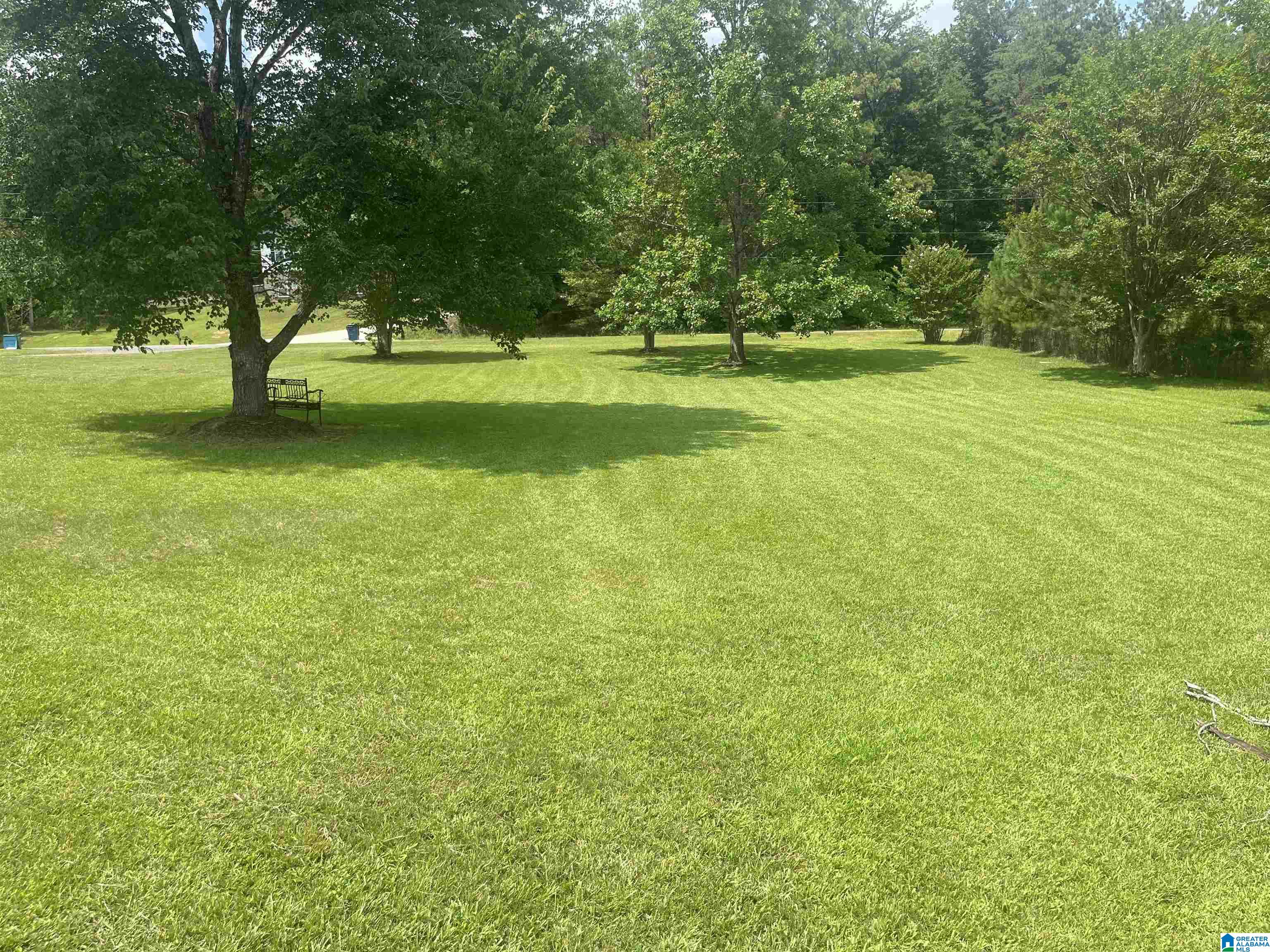 7000 Grey Hill Road West Blocton, AL 35184 - Photo 11 of 50