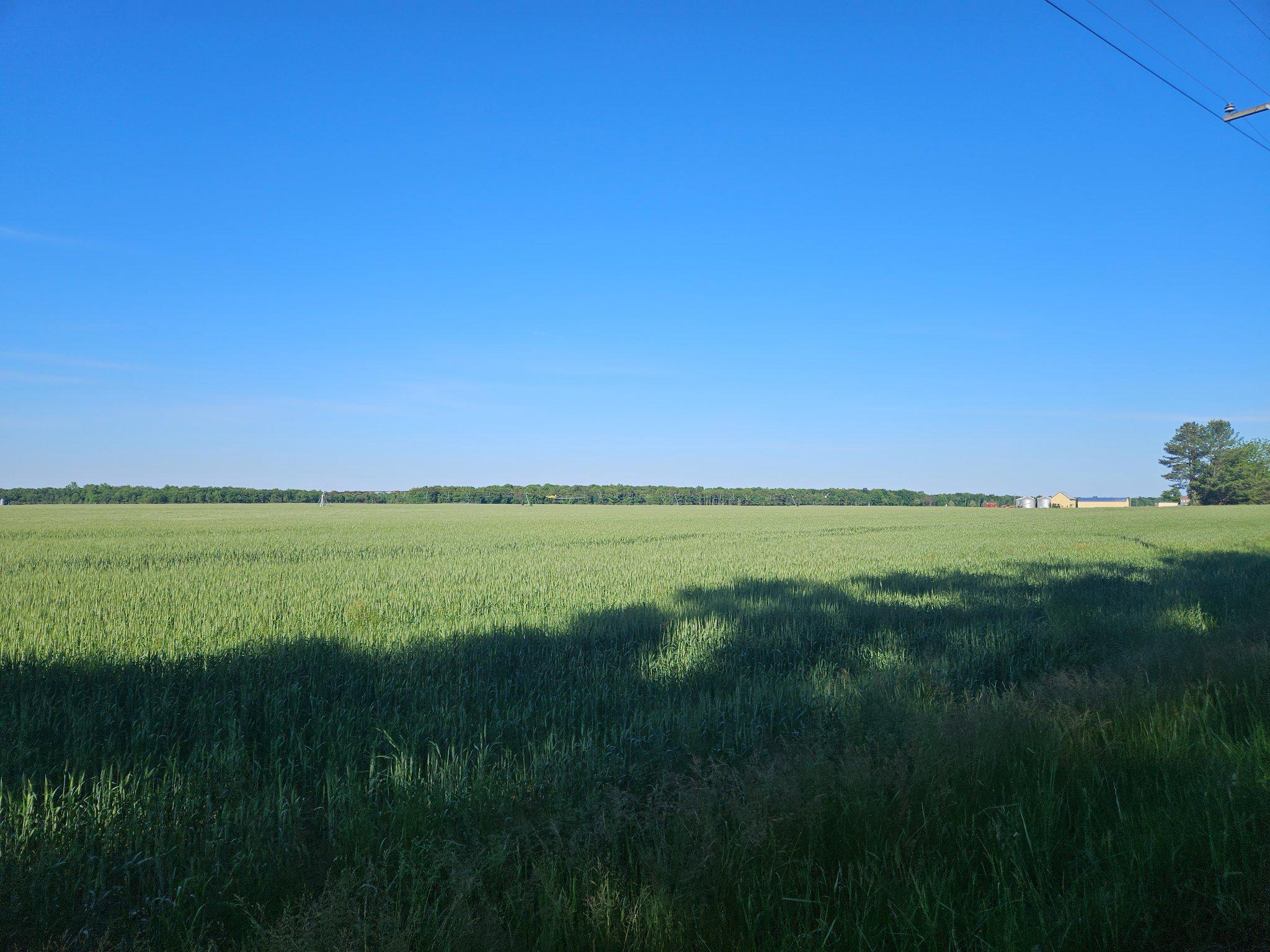 Lot 4 River Road Greensboro, MD 21639 - Photo 2 of 8 Views of scenic farm fields