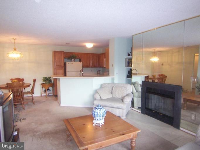 11705 Summerchase Circle, Unit 11705D Reston, VA 20194 - Photo 15 of 24 Living Room #3