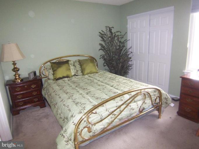 11705 Summerchase Circle, Unit 11705D Reston, VA 20194 - Photo 7 of 24 Master Bedroom