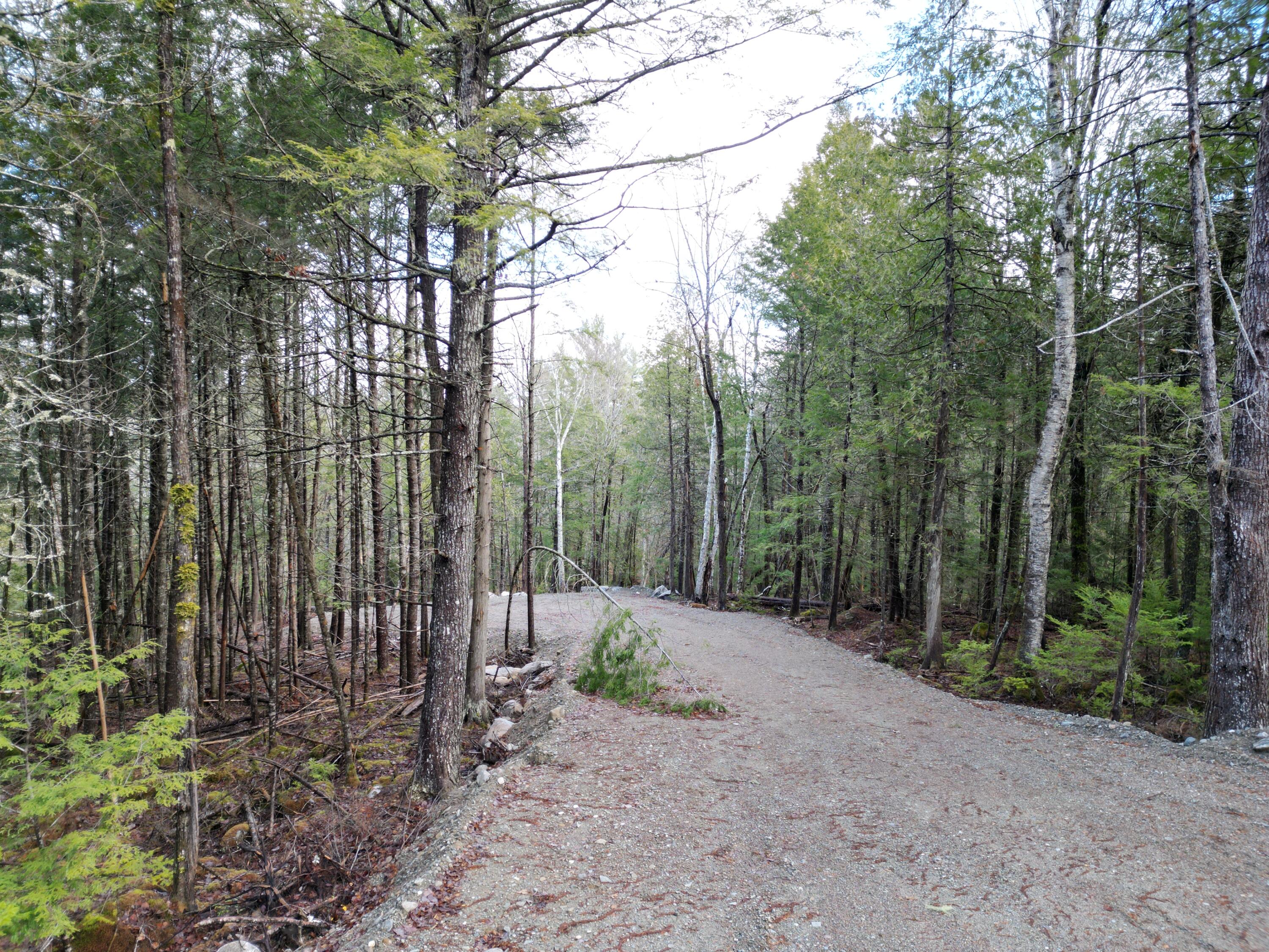 10 Falcon Ridge Lincoln, ME 04457 - Photo 9 of 16 DJI_0998