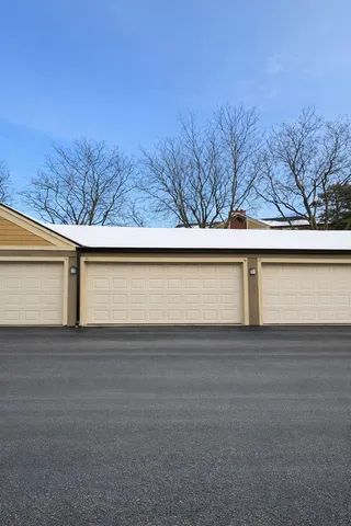 a view of backyard and trees