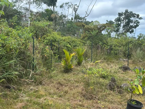 $75,000 | 20 Paradise Court, Pahoa, HI 96778