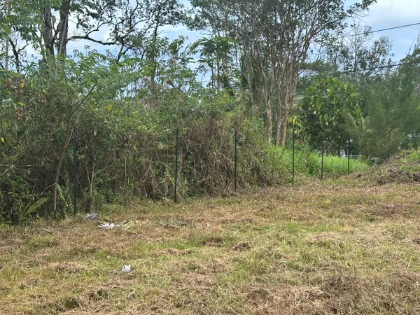 $75,000 | 20 Paradise Court, Pahoa, HI 96778