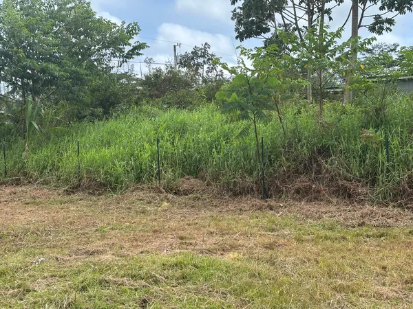 $75,000 | 20 Paradise Court, Pahoa, HI 96778