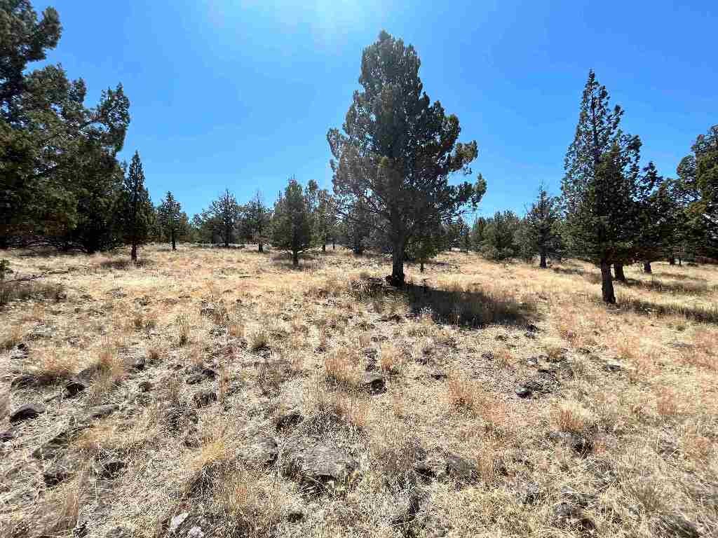Unit 5-2 Lot 48 Browndeer Road Weed, CA 96094 - Photo 4 of 7 Gallery Image 4