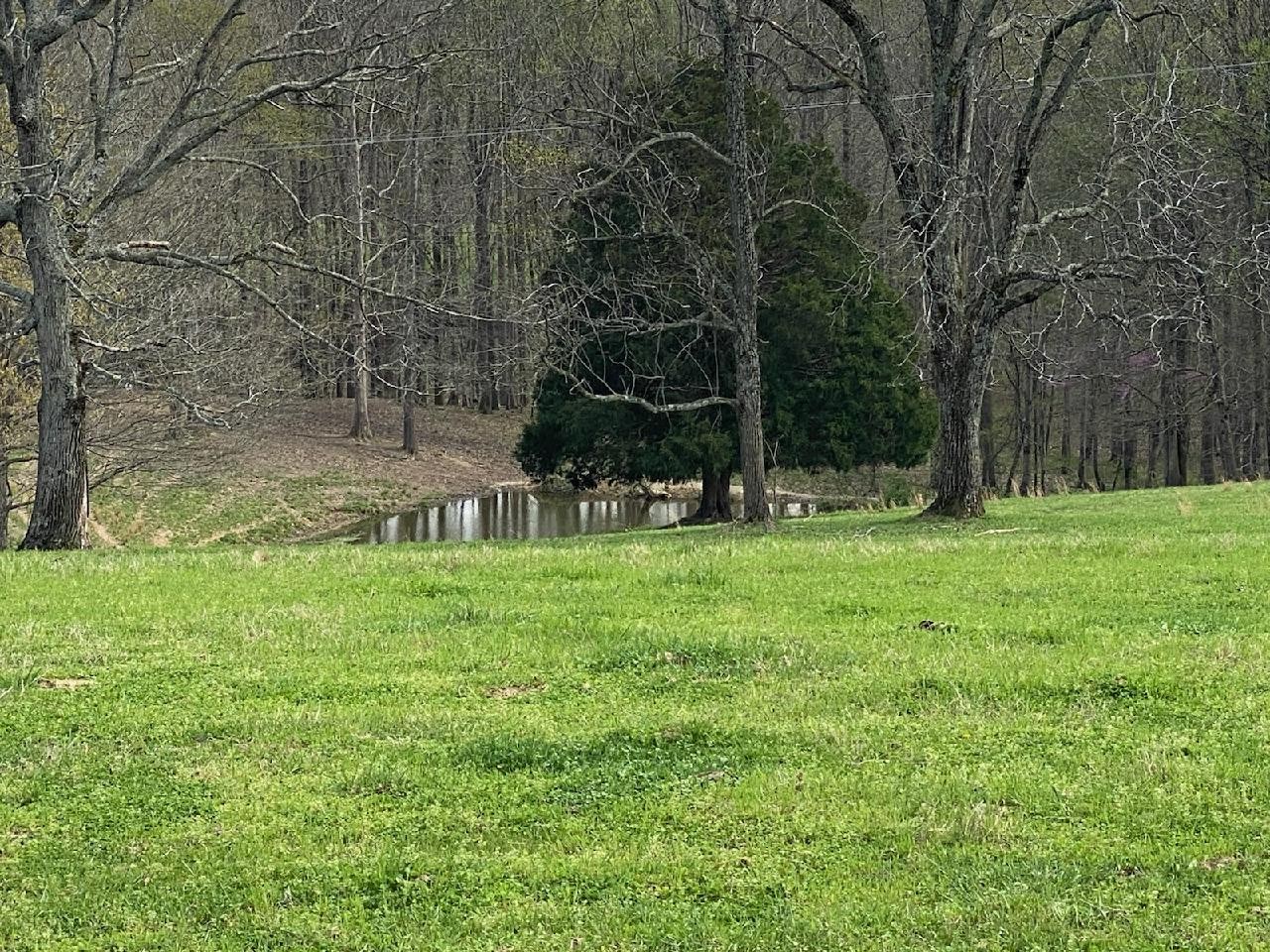 900 Holland Road Lafayette, TN 37083 - Photo 4 of 10 Gallery Image 4