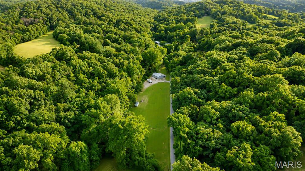 575 Schleeper Hollow Road Hardin, IL 62047 - Photo 5 of 61