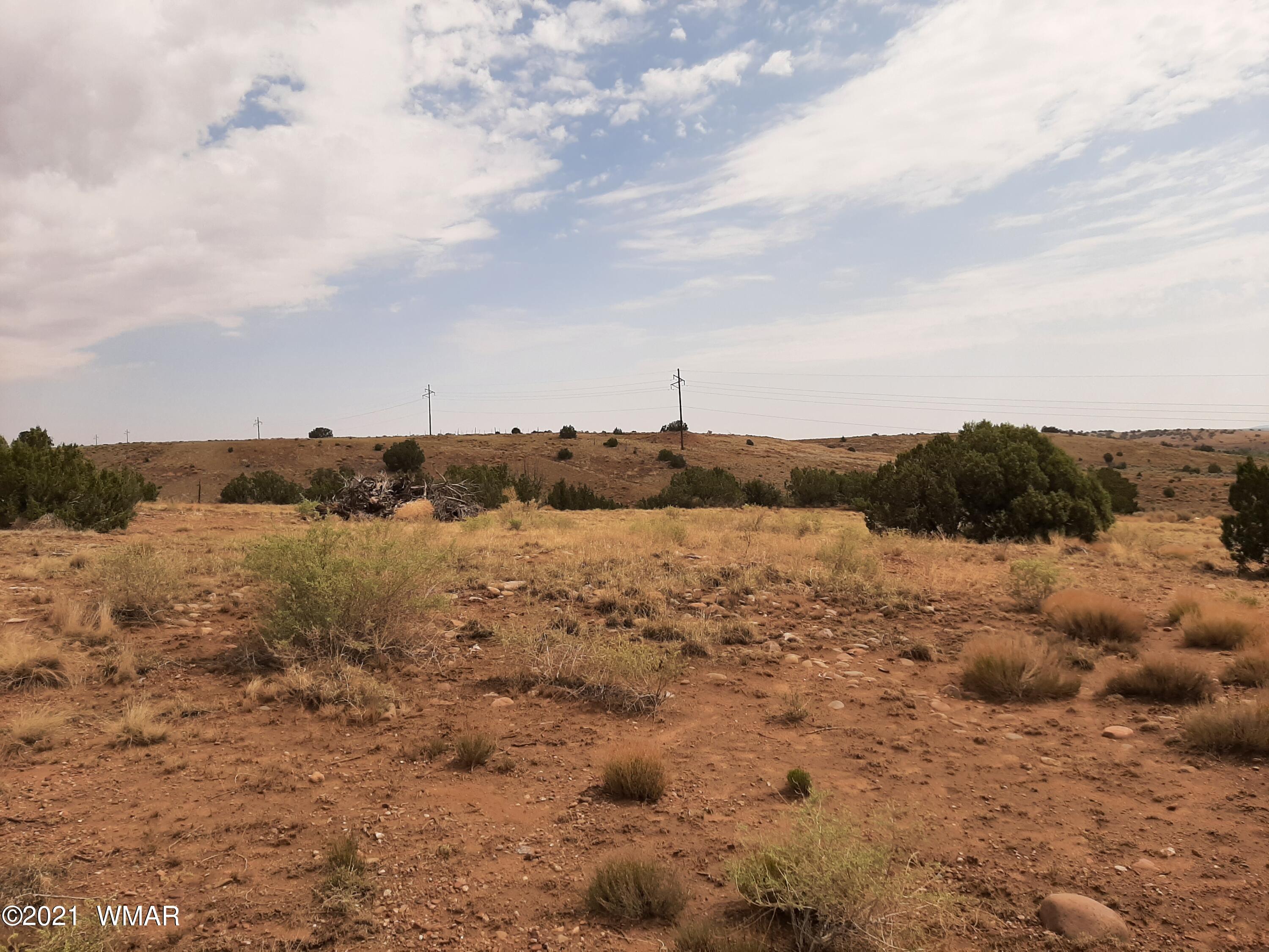 2650 Paper Mill Road Taylor, AZ 85939 - Photo 3 of 9 a view of lake with mountain
