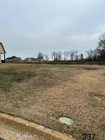 $67,000 | 4298 Piland Pk Cove, Olive Branch, MS 38654