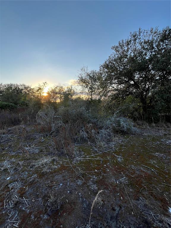 14416 Northwest 252nd Street Okeechobee, FL 34972 - Photo 11 of 33