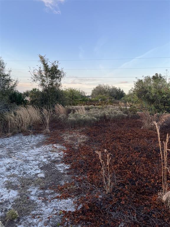 14416 Northwest 252nd Street Okeechobee, FL 34972 - Photo 12 of 33