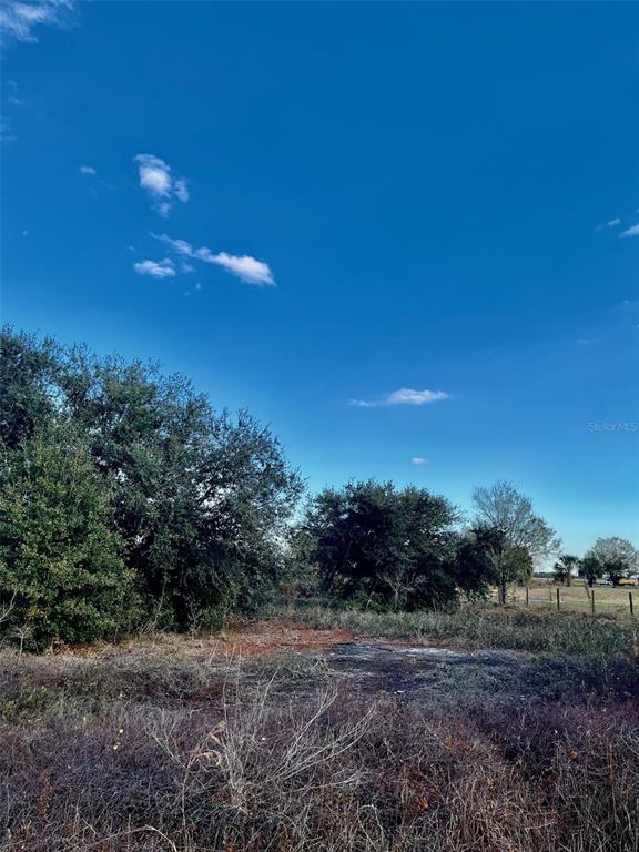 14416 Northwest 252nd Street Okeechobee, FL 34972 - Photo 17 of 33