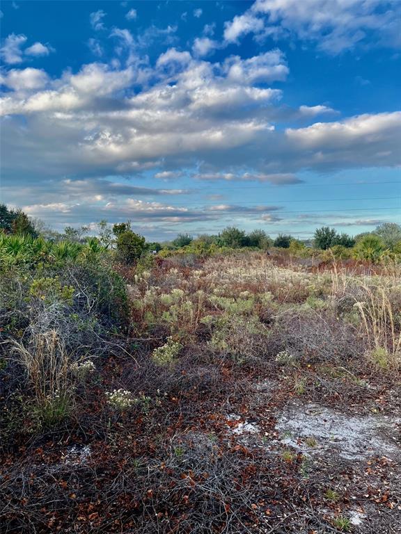 14416 Northwest 252nd Street Okeechobee, FL 34972 - Photo 18 of 33