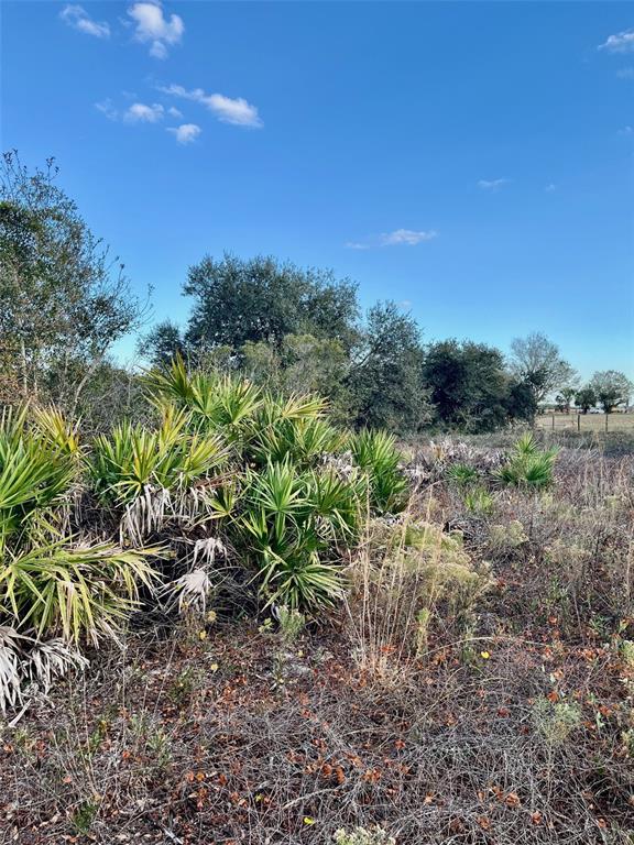 14416 Northwest 252nd Street Okeechobee, FL 34972 - Photo 19 of 33