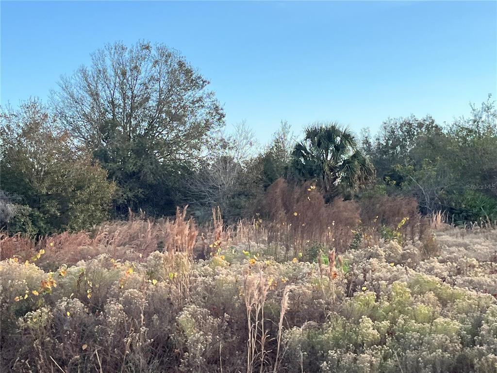 14416 Northwest 252nd Street Okeechobee, FL 34972 - Photo 21 of 33